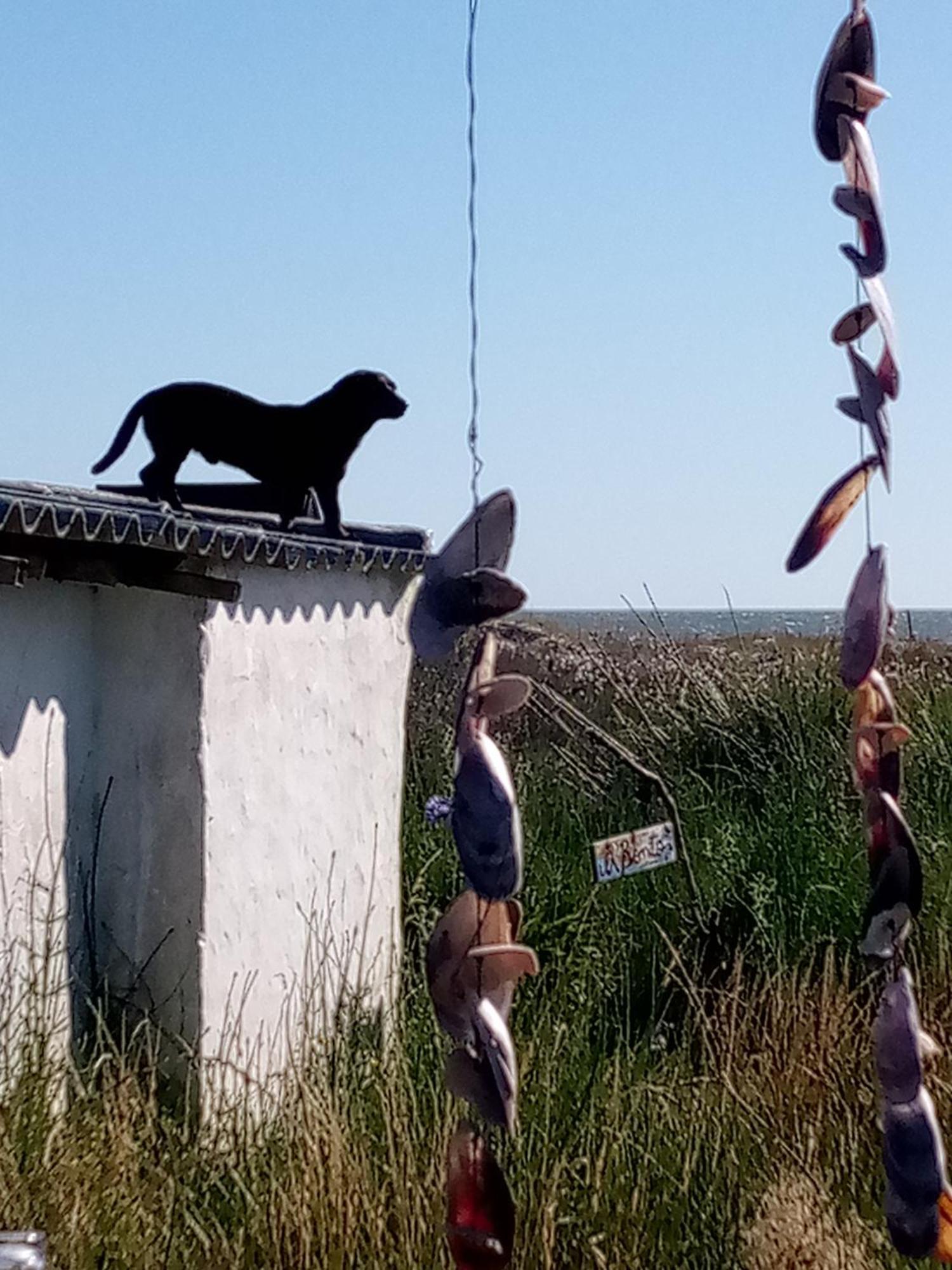 Buenas Vibras Hostel Cabo Polonio Kültér fotó